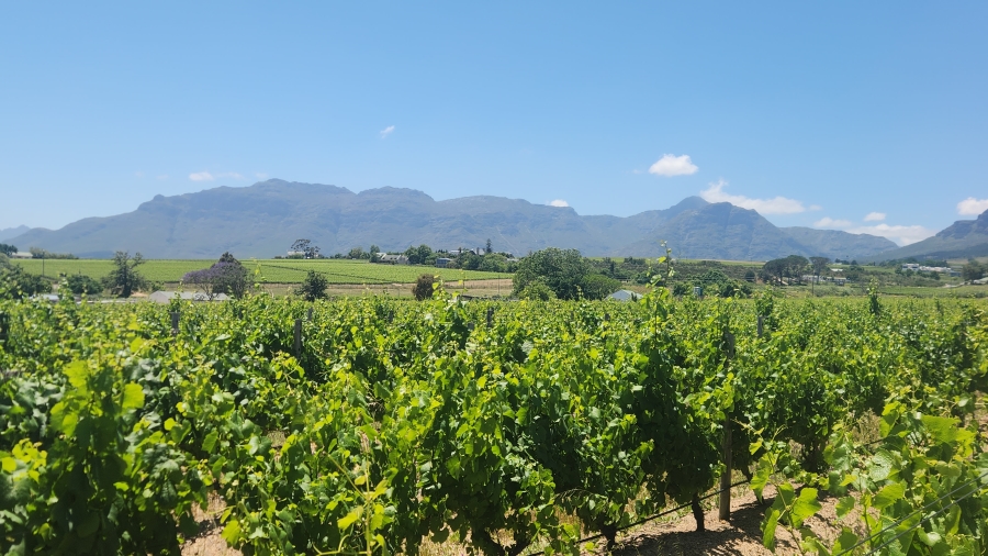 Commercial Property for Sale in Stellenbosch Farms Western Cape